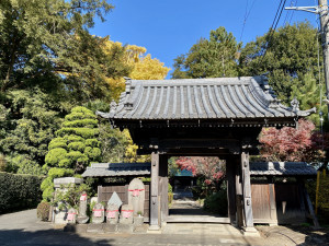 舊城寺